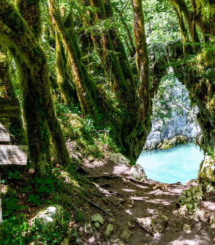 Foto de Senderismo por el Cañón de Mrtvica - Tour Privado